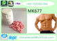 Body Building SARM Steroids Powder / Pills 99 . 7% Purity YK11 CAS 431579-34-9